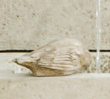 Statue_A-376.jpg