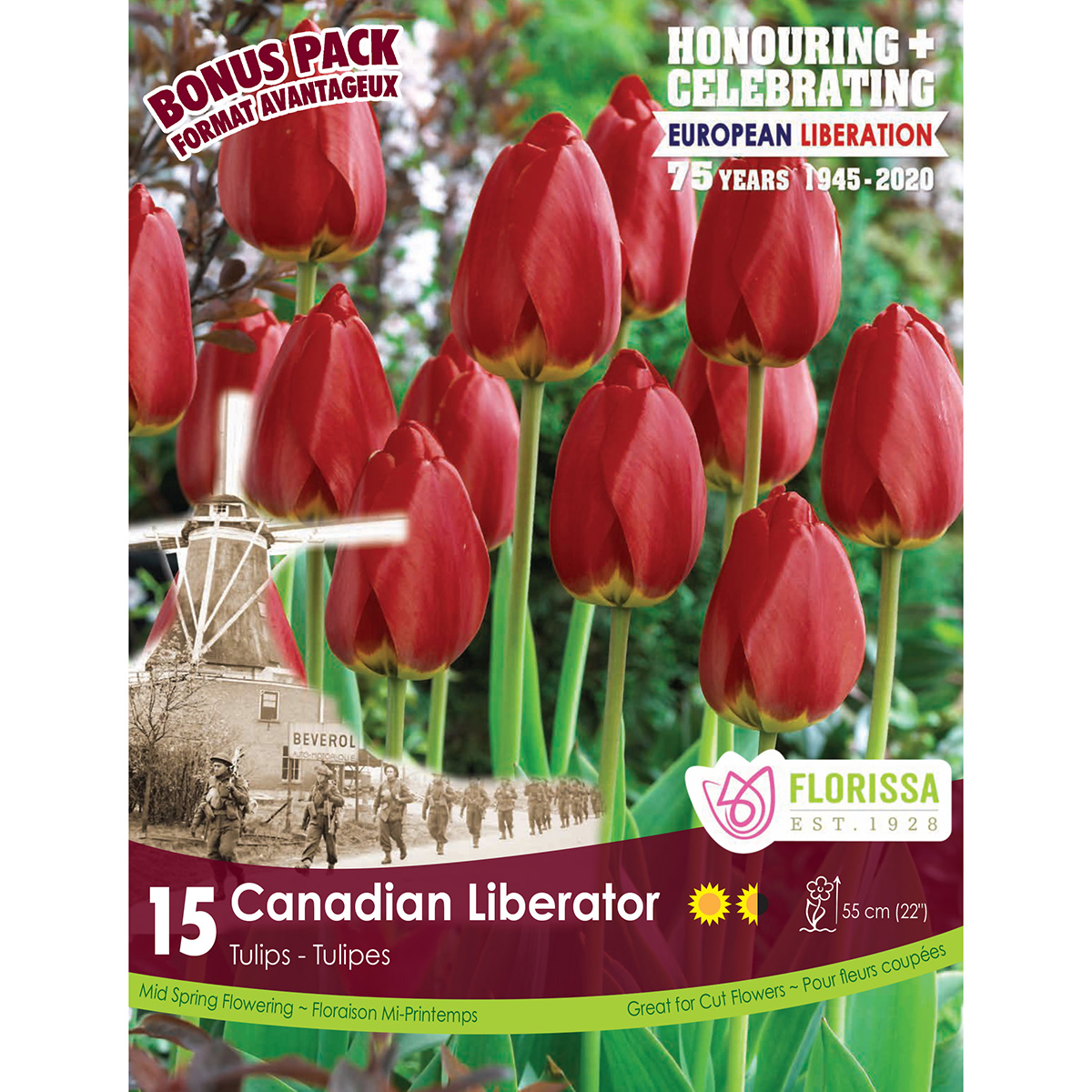 Tulip_Canadian_Liberation_1200px.jpg