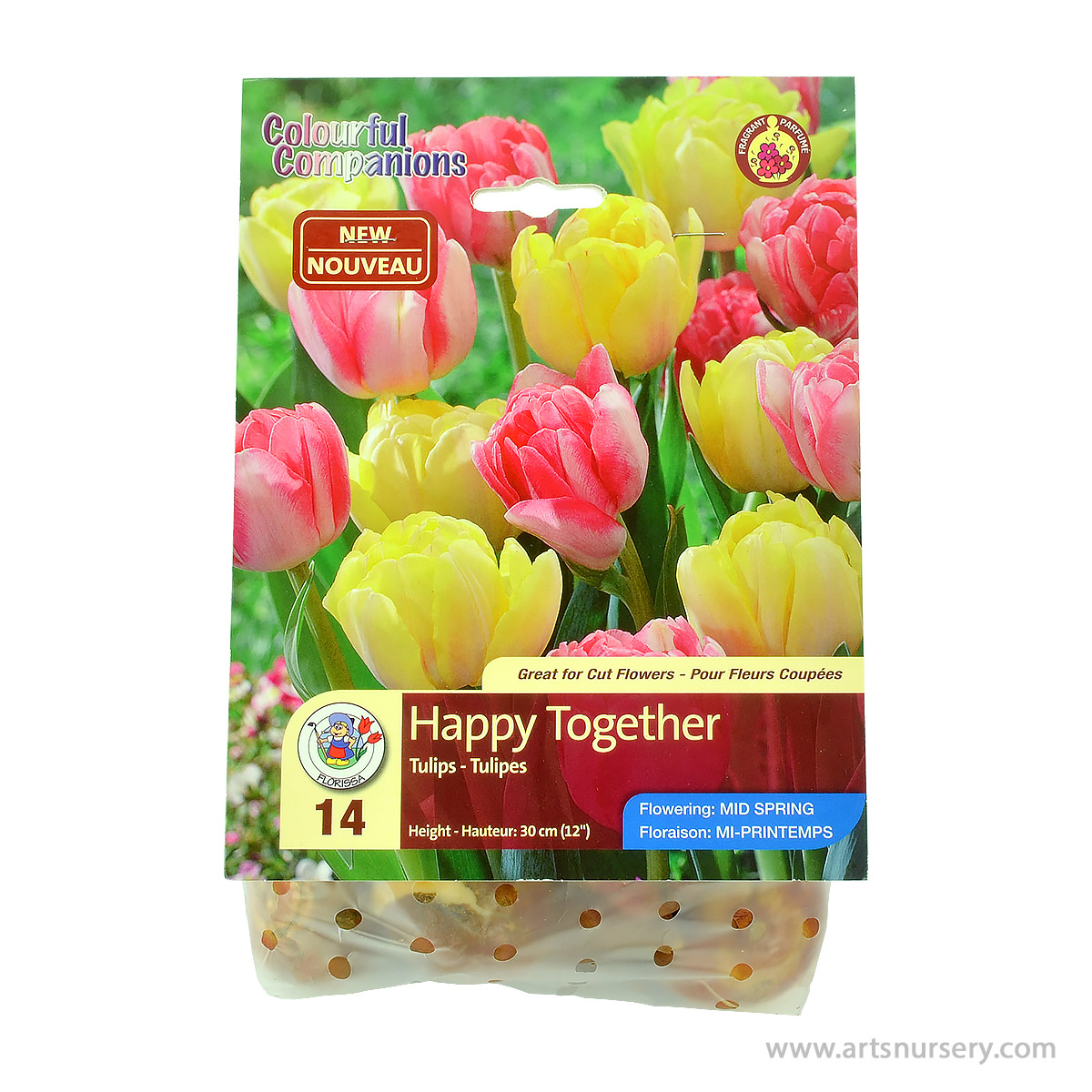 Tulip_HappyTogether.jpg