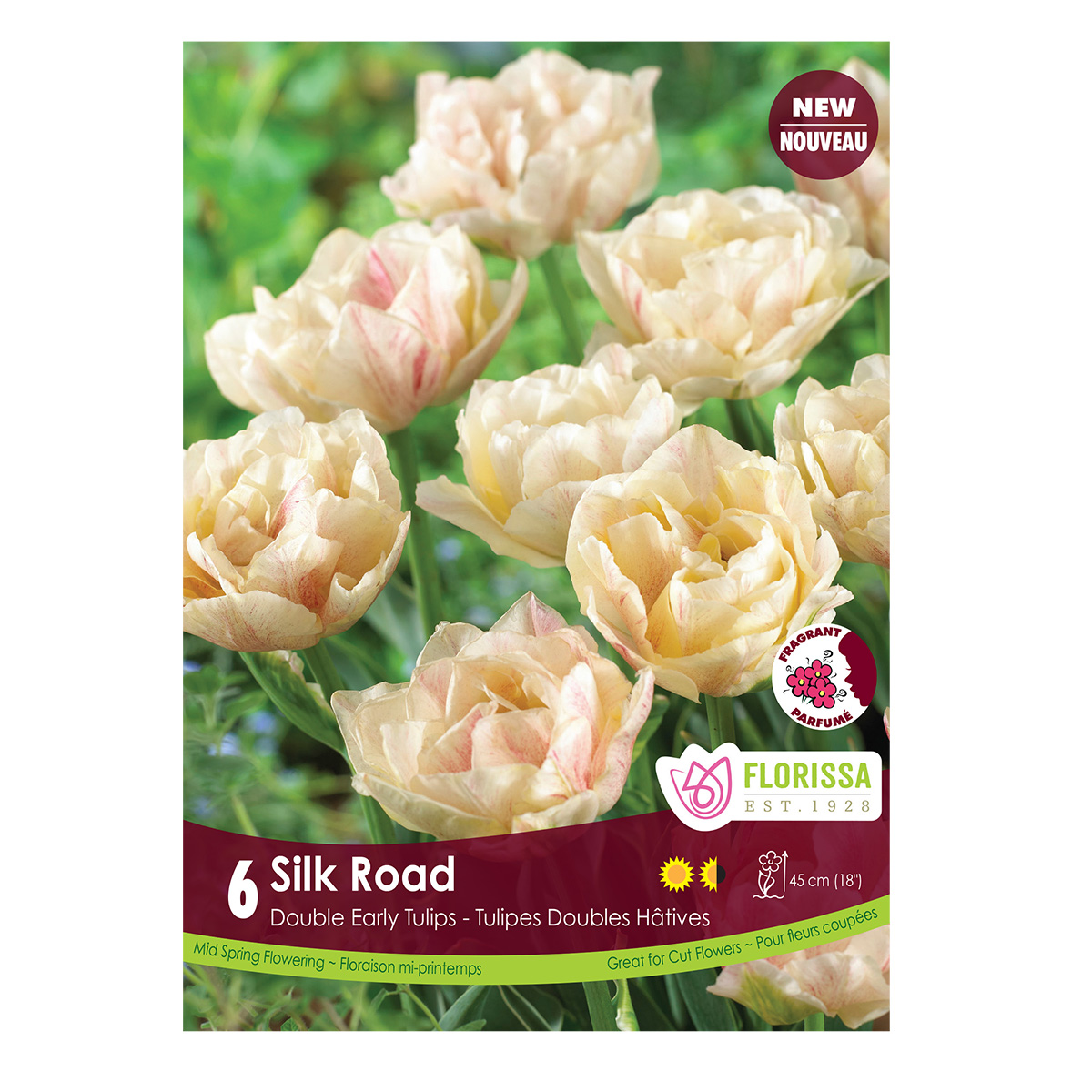 Tulipa 'Silk Road' 6PK