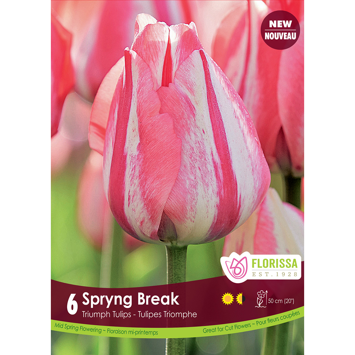 Tulip_Spryng_Break_1200px.jpg
