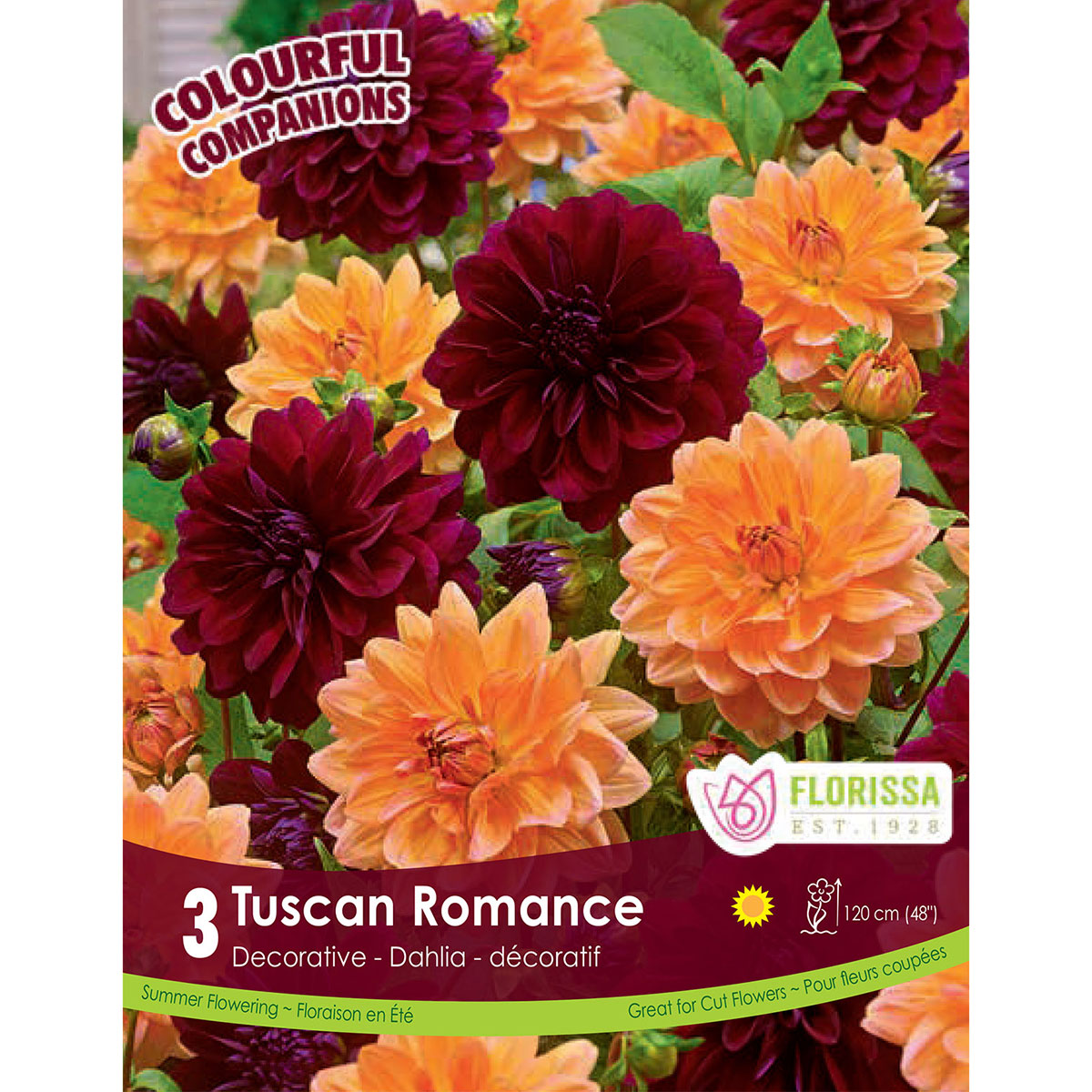 Tuscan_Romance.jpg