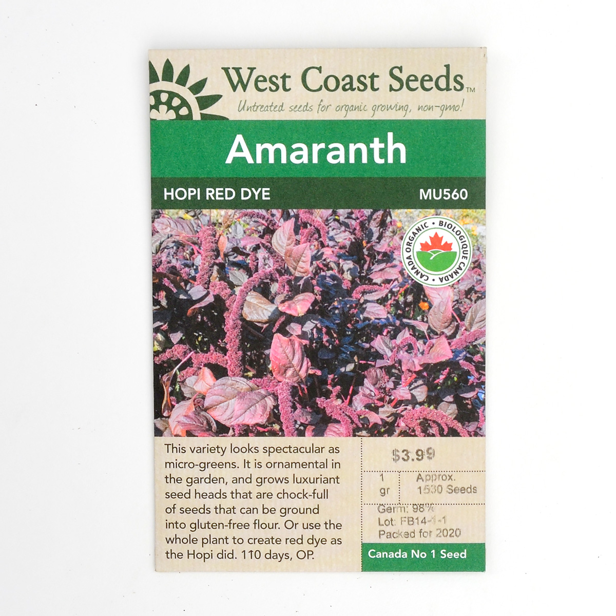 Amaranth Hopi Red Dye Seeds MU560