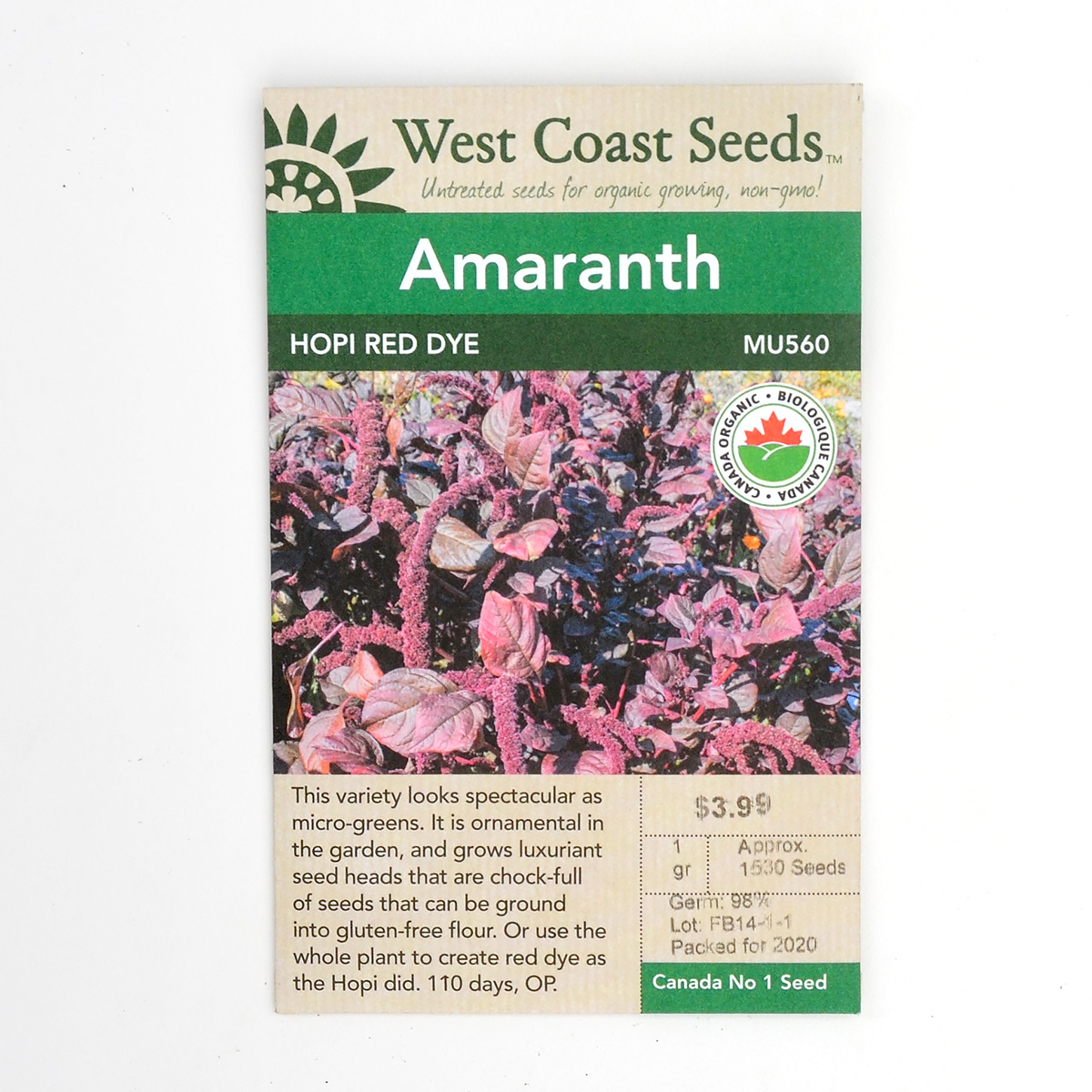 Amaranth Hopi Red Dye Seeds MU560