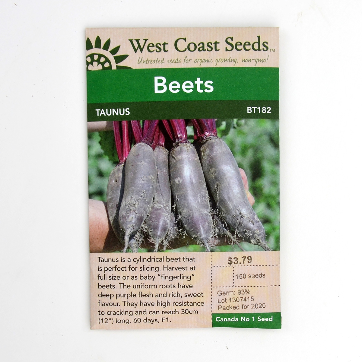 Beets Taunus Seeds BT182