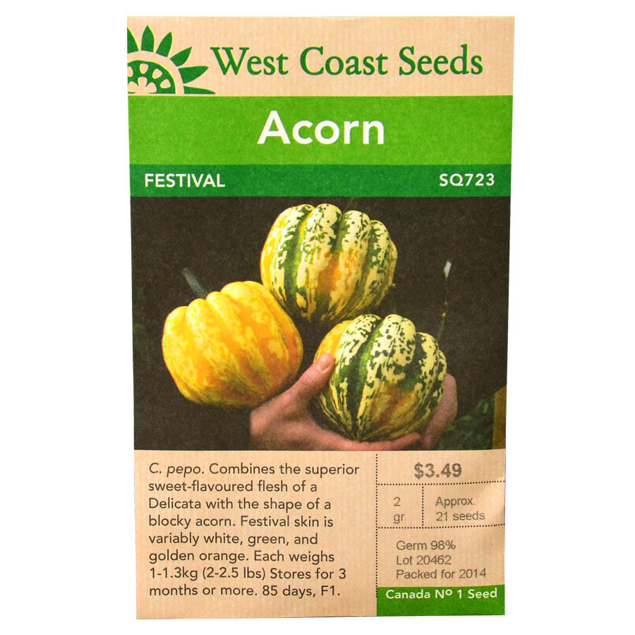 Squash Acorn Festival Seeds SQ723