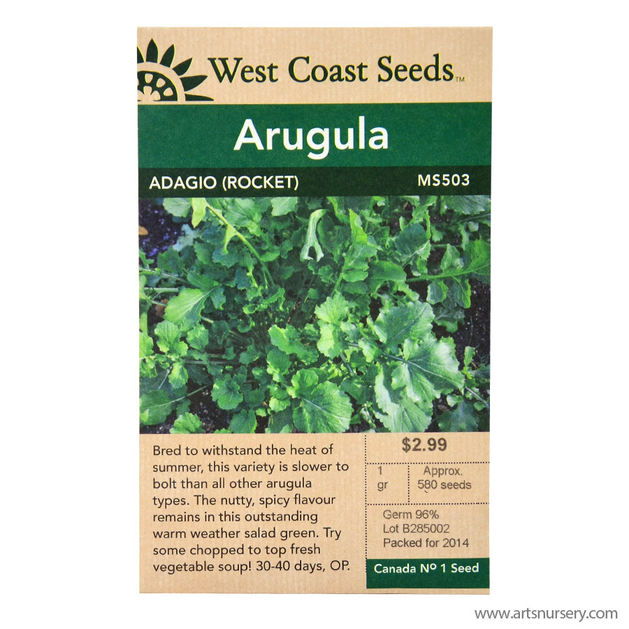 WC_Arugula_adagio_Front.jpg