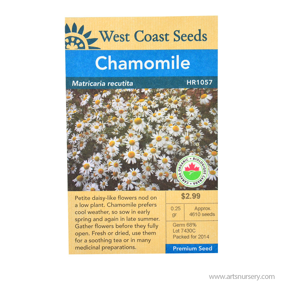 WC_Chamomile_Front.jpg