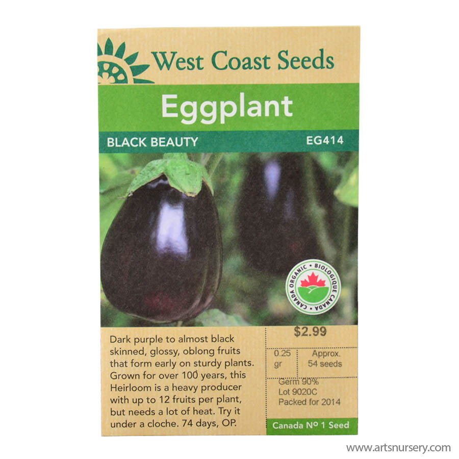 WC_Eggplant_BlackBeauty_Front.jpg