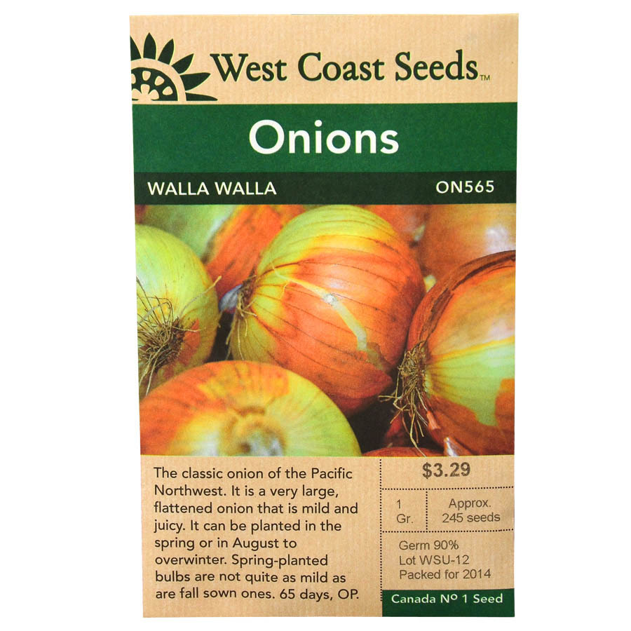 Onions Walla Walla Seeds ON585