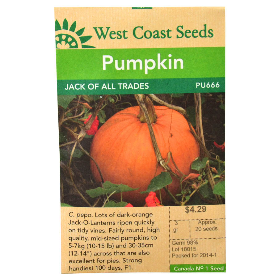 WC_Pumpkin_JackOfAllTrades_Front.jpg