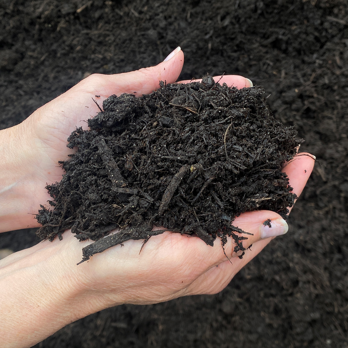 bulk_agedblackmulch_hand.jpg