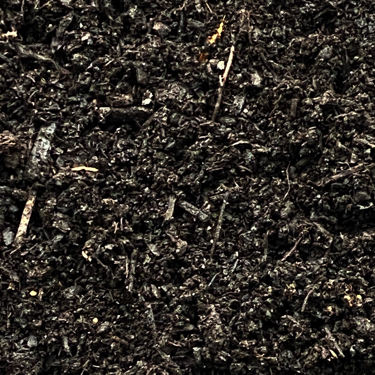 bulk_blacktop_cu.jpg