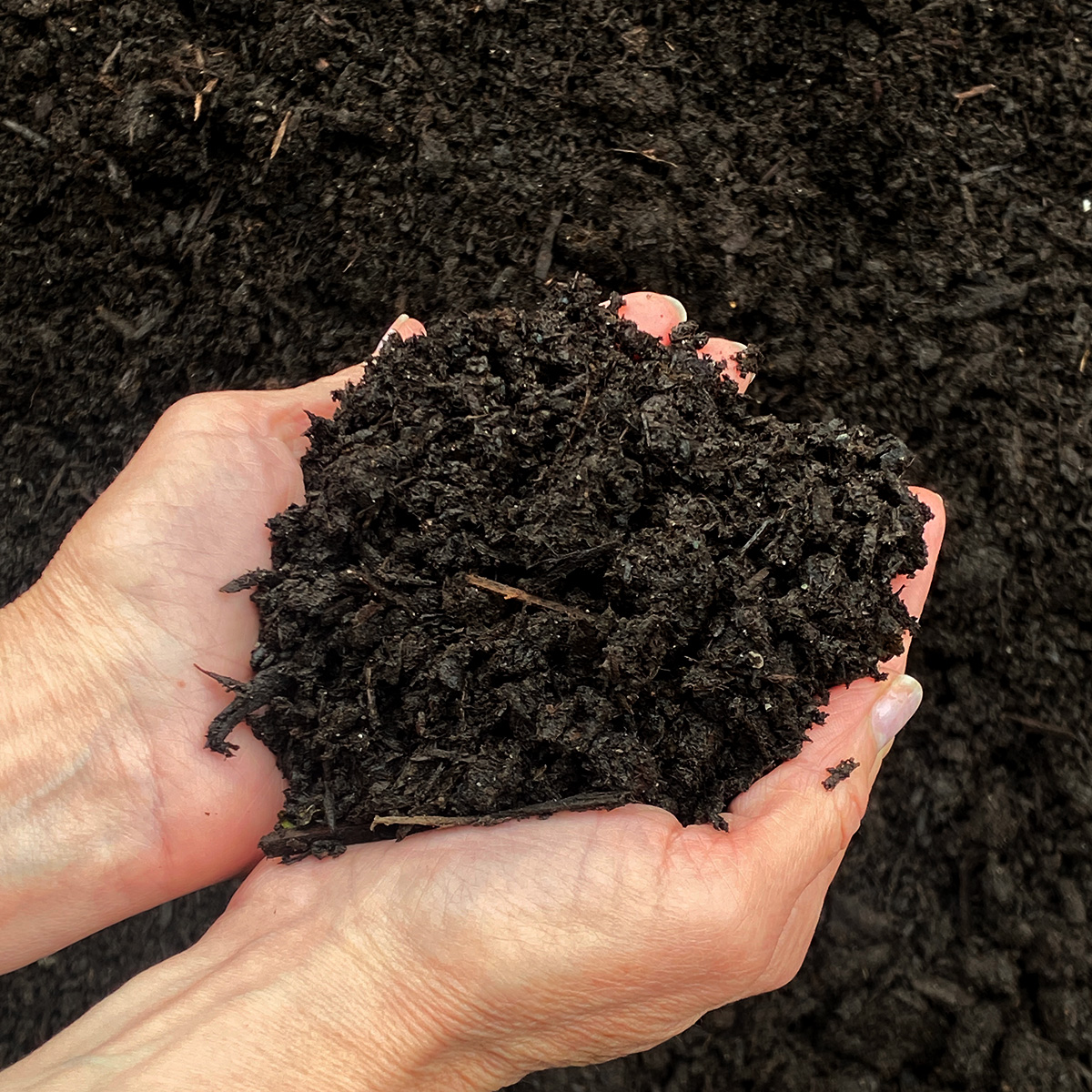 bulk_blacktop_hand.jpg