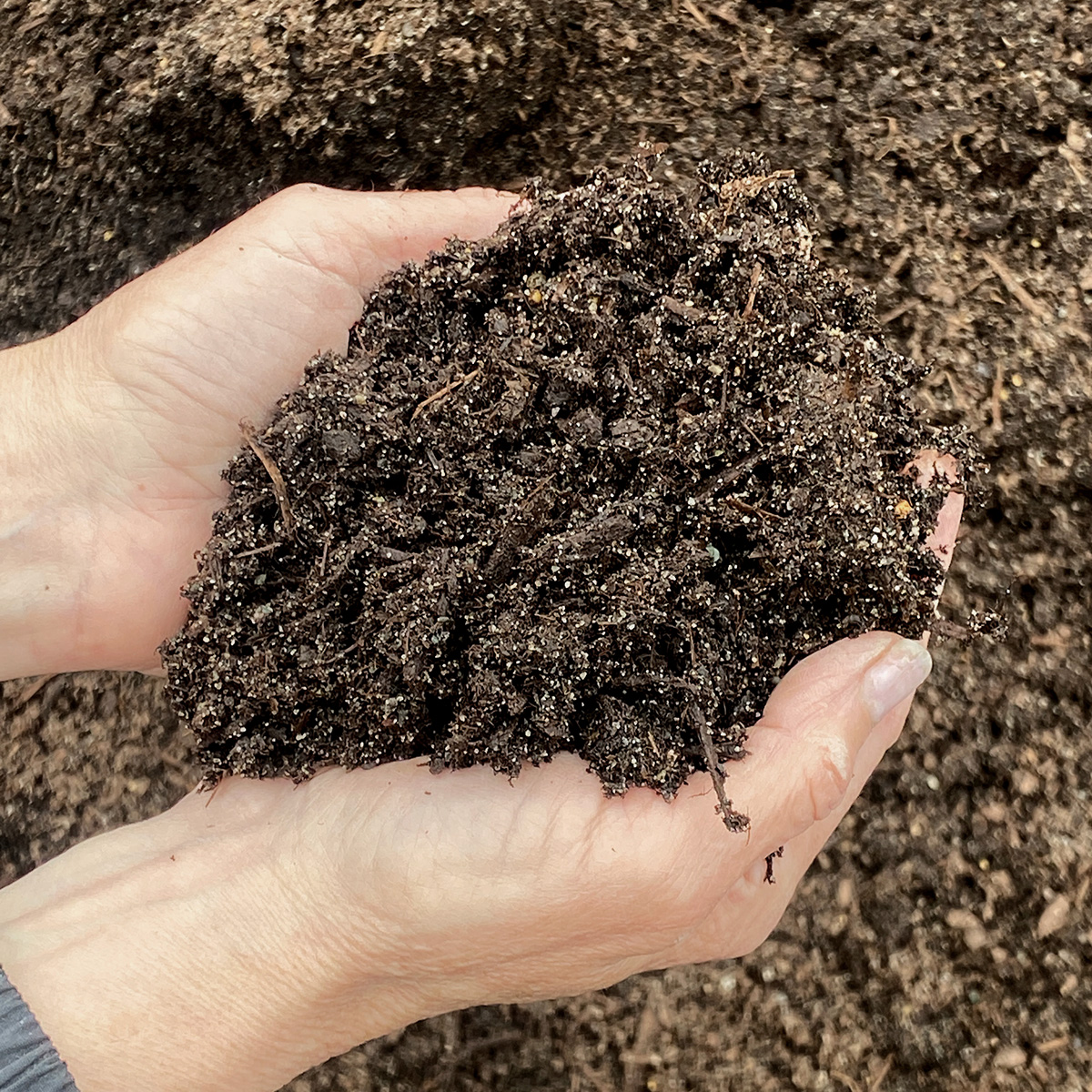 bulk_gardenmixsoil_hand.jpg