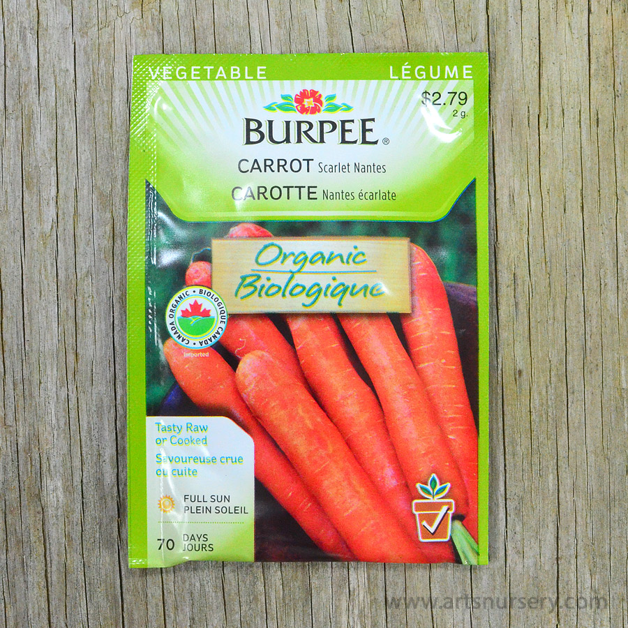 scarlet nantes organic carrot seeds burpee arts nursery ltd care for poinsettias after christmas