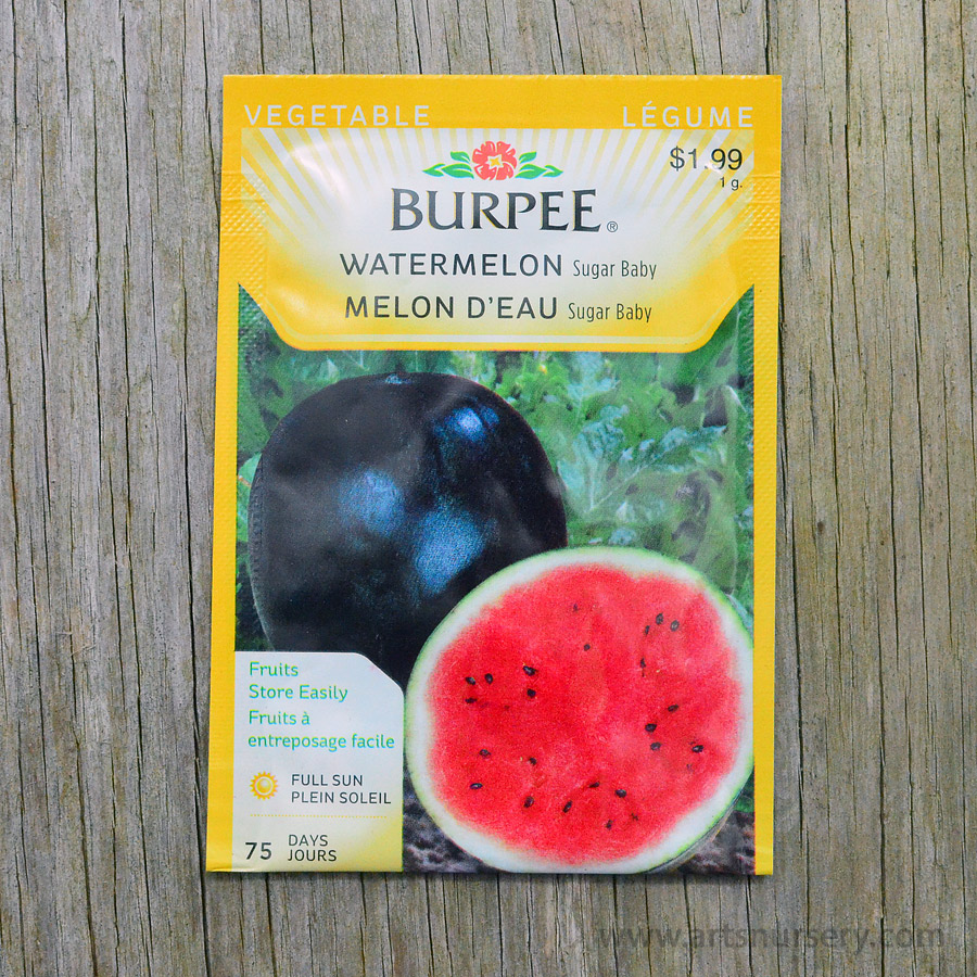 15+ Sugar Baby Watermelon Seeds, 75 Days + Free GIFT | Non-gmo | Top Seed Bank