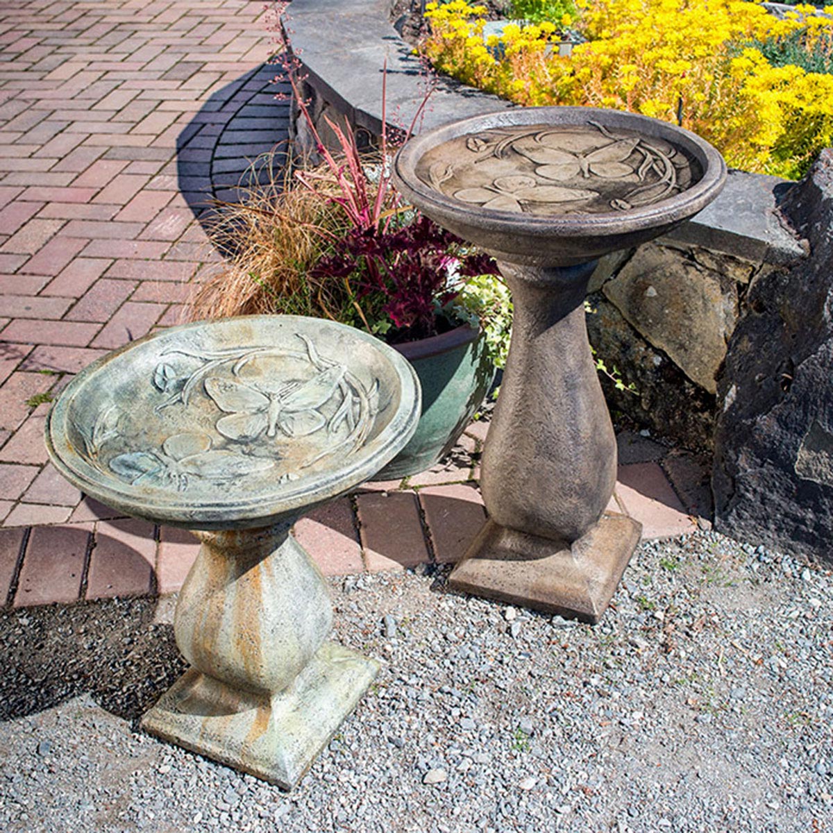 butterfly-birdbaths_9215.jpg