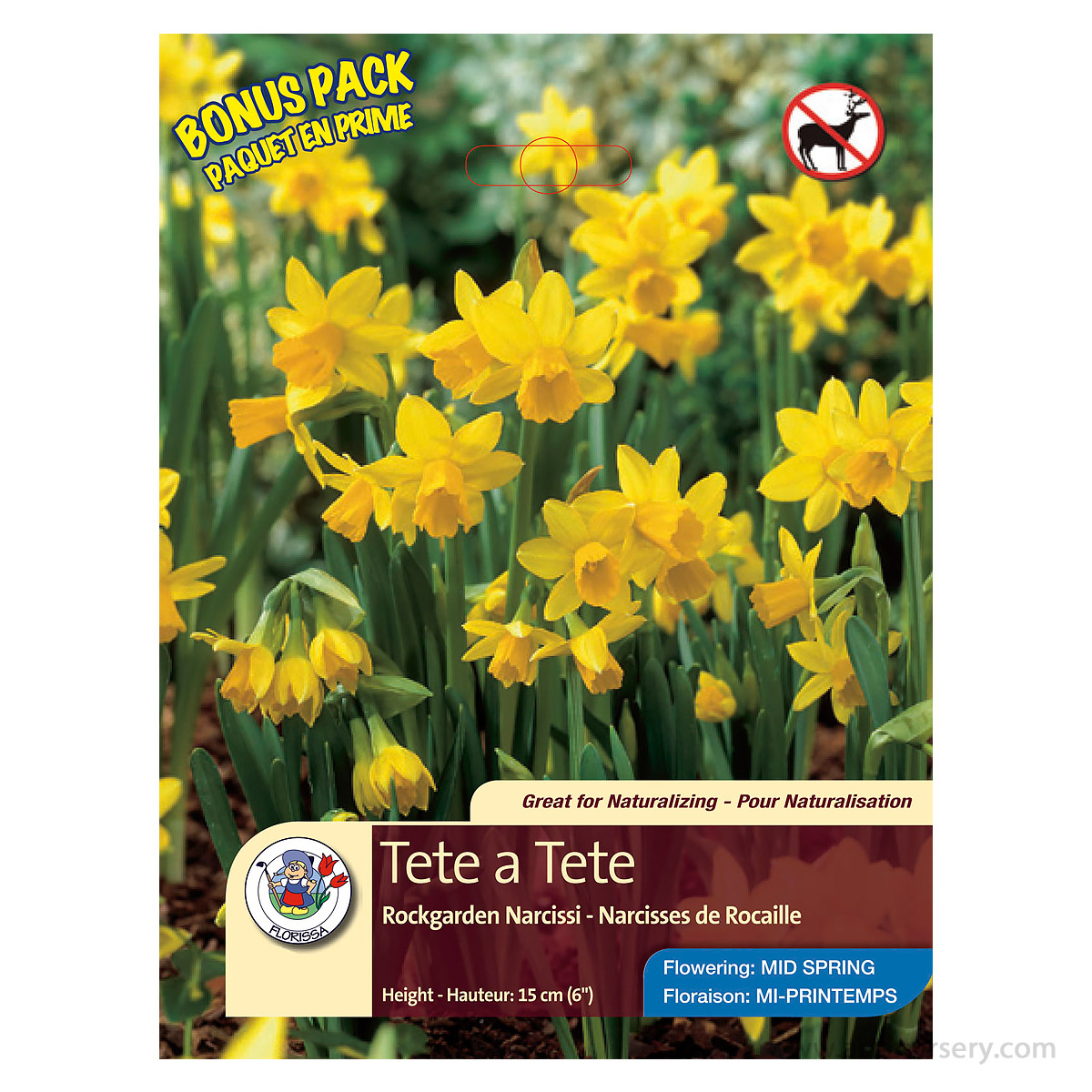 Tulipa 'Humilis Tete a Tete' Bulbs