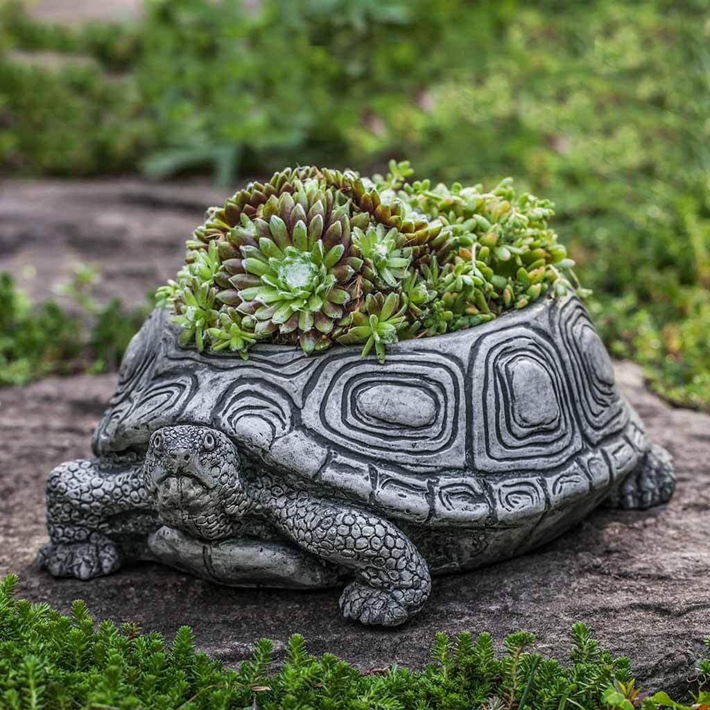 Campania - Turtle Planter, Small P-714