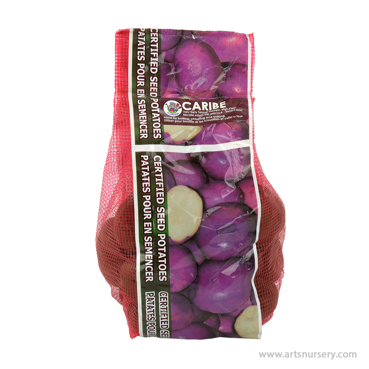 Seed Potatoes 'Caribe'