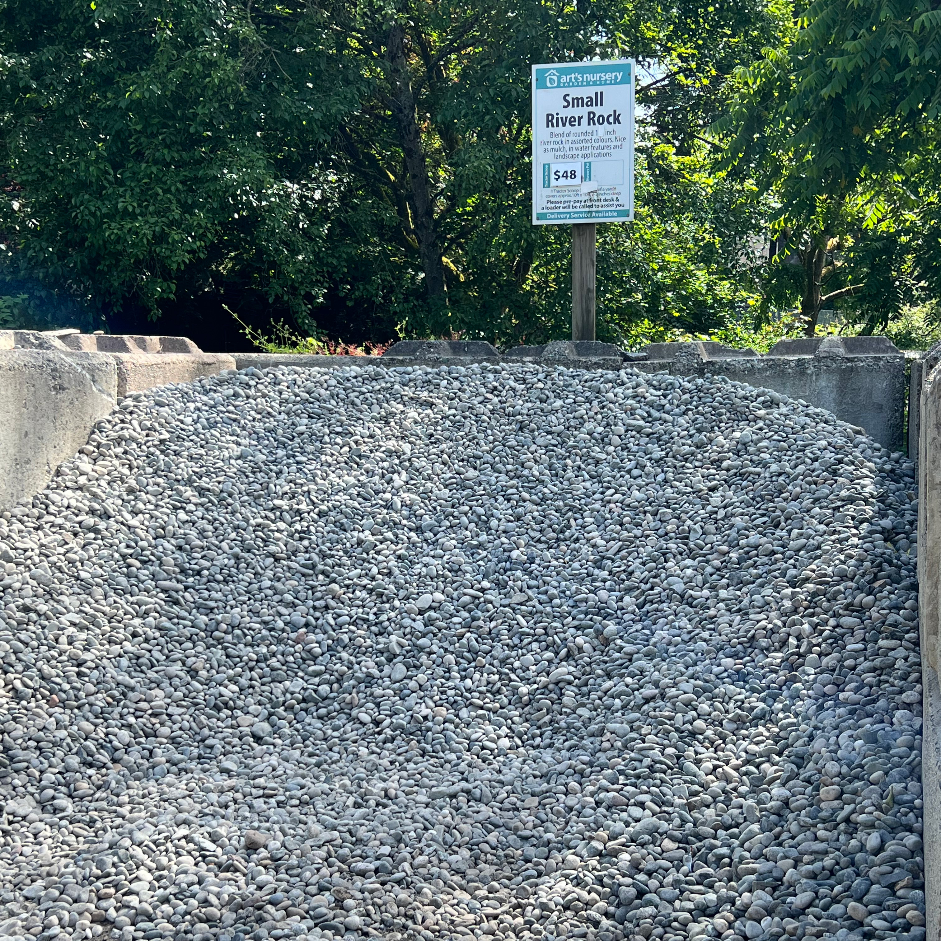 small_river_rockLS.jpg