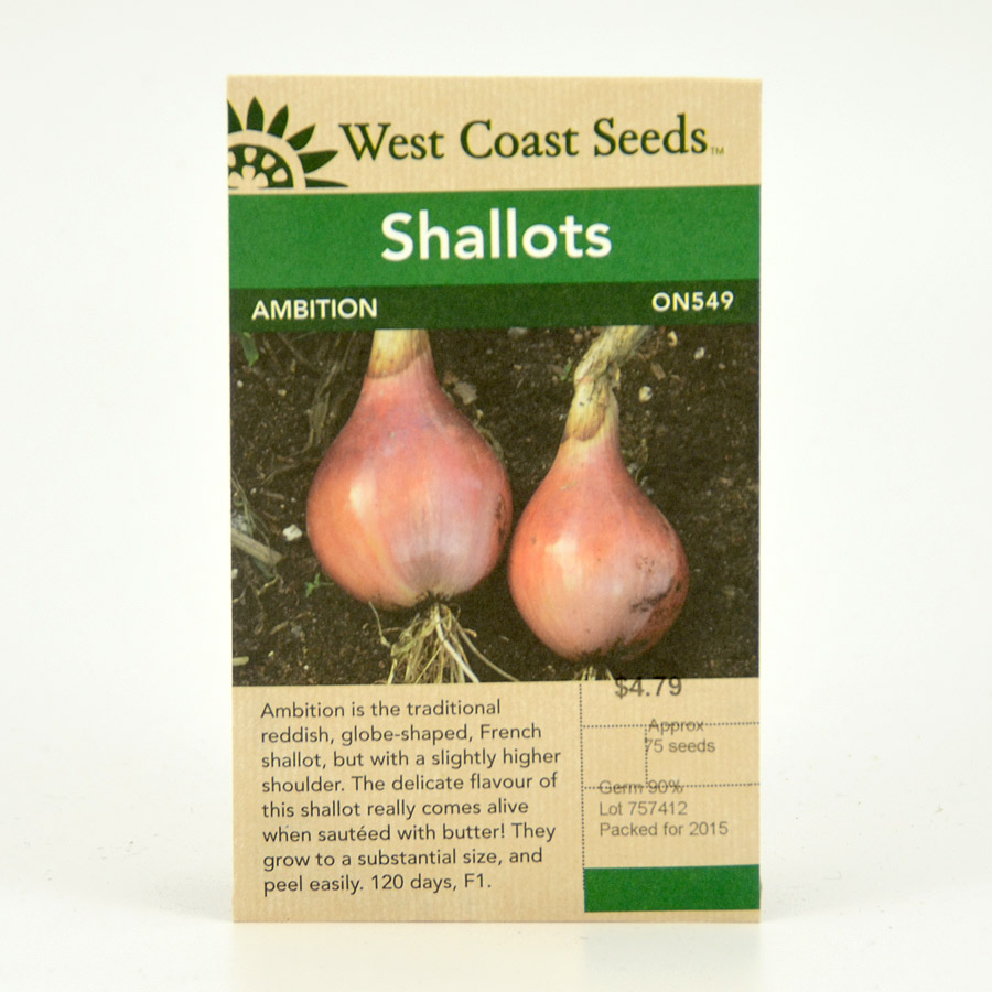 Onion Ambition Shallot Seeds ON549